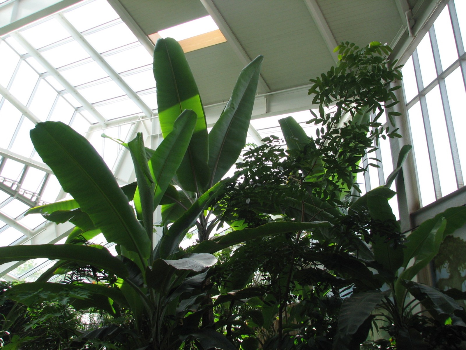 Tropical Encounters - Interior
