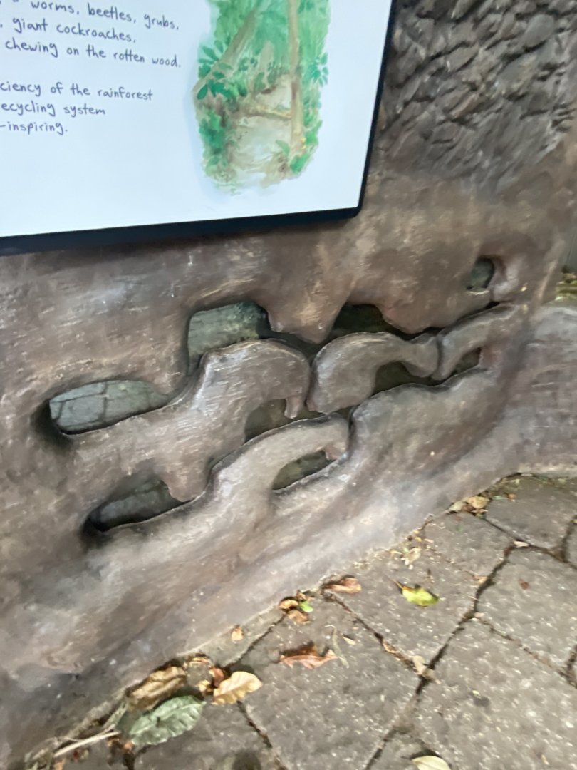 Tropical encounters- leaf cutter ant exhibit