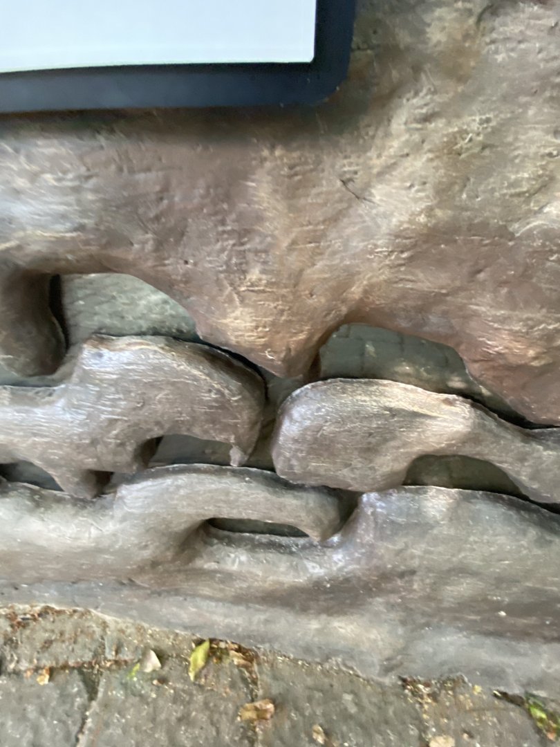 Tropical encounters- leaf cutter ant terrarium