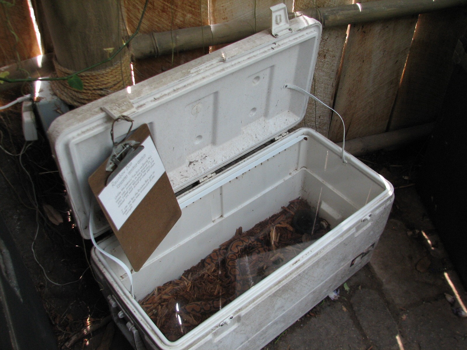 Tropical Encounters - Rainbow Boa Exhibit
