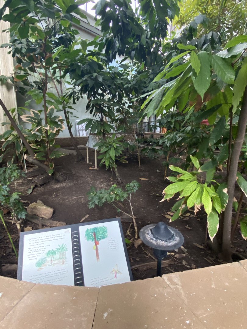 Tropical encounters- red footed tortoise exhibit