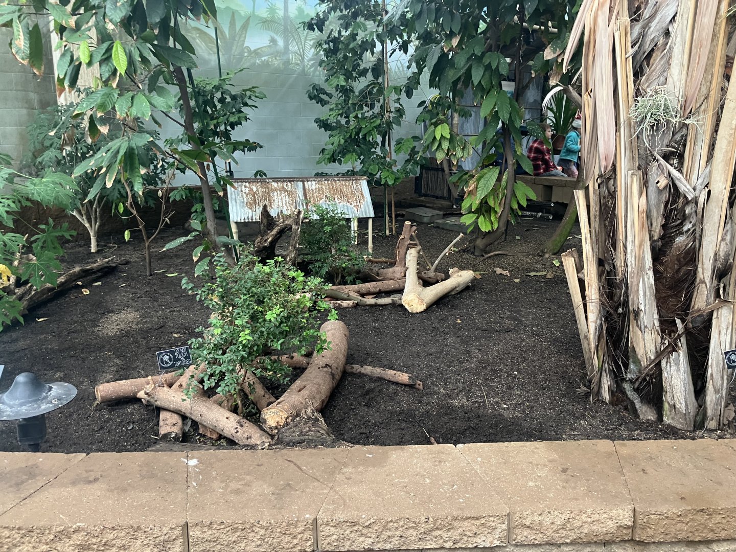 Tropical Encounters - Red Footed Tortoise Exhibit