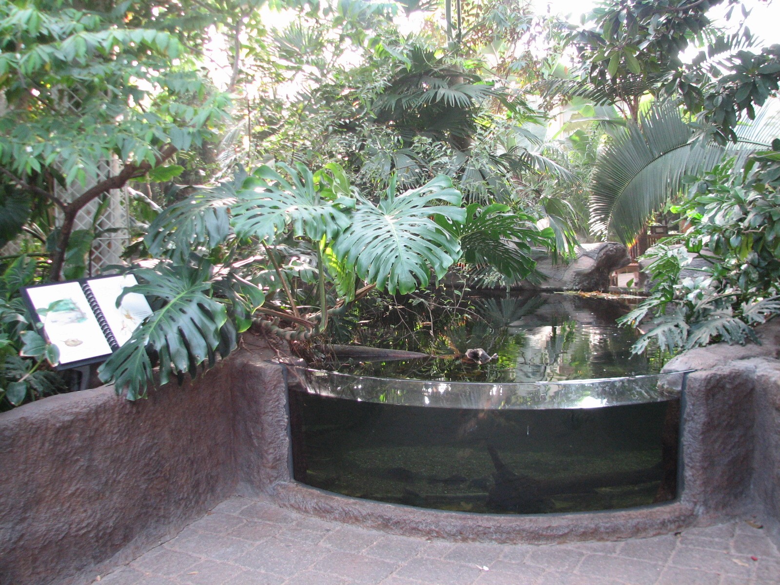 Tropical Encounters - South American Freshwater Stingray Exhibit