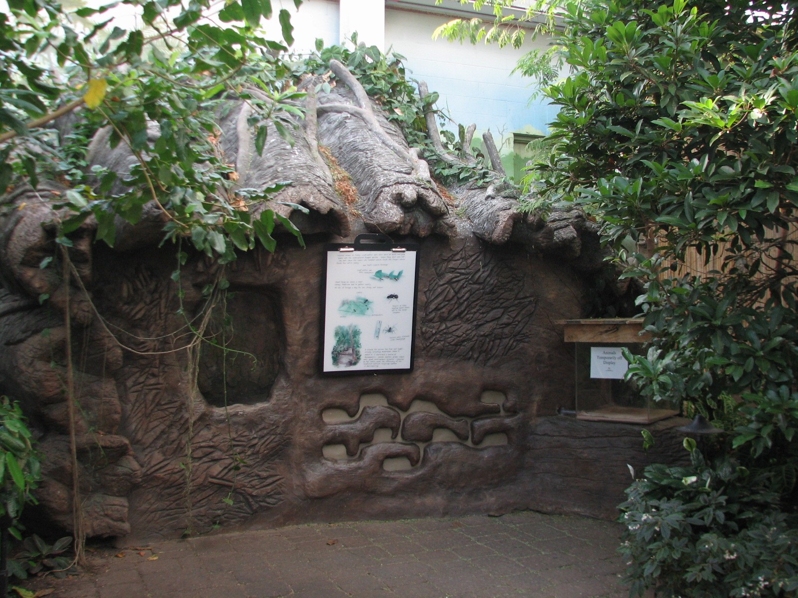 Tropical Encounters - Tailless Whip Scorpion and Leafcutter Ant Exhibits