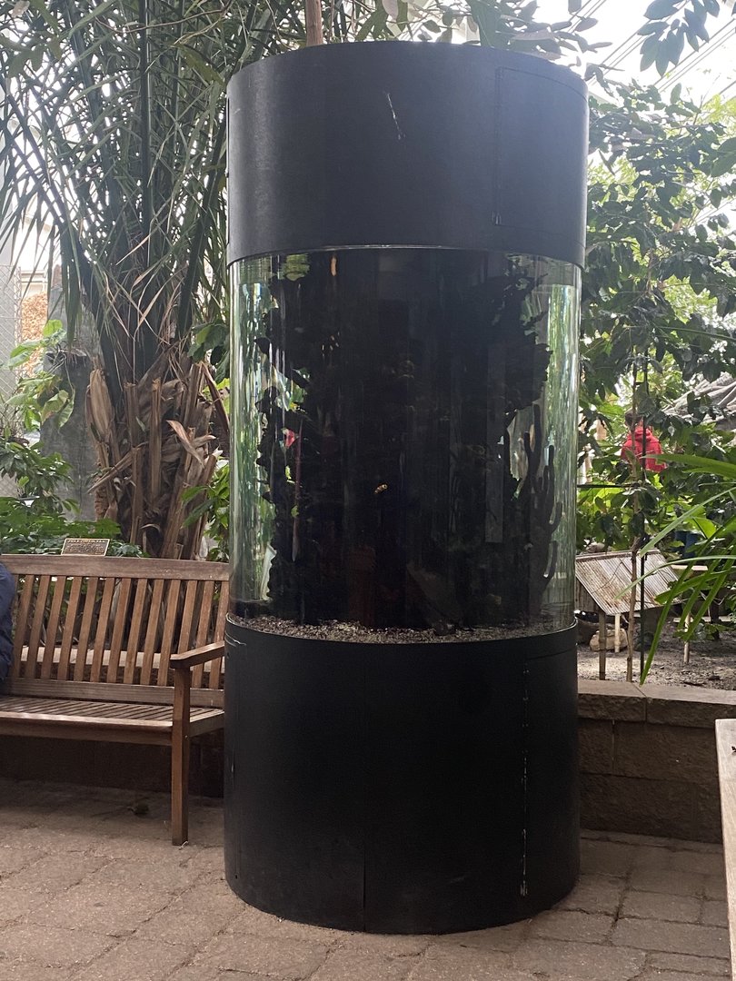 Tropical Encounters - Tropical Reef Tank