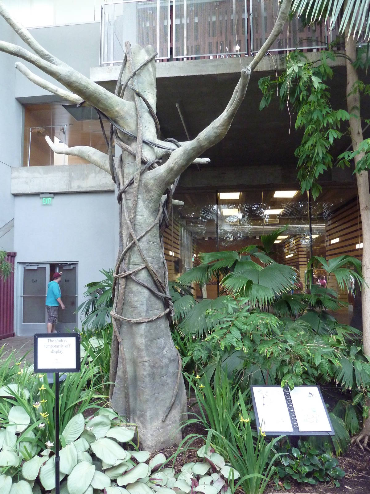 Tropical Encounters - Two-Toed Sloth Exhibit