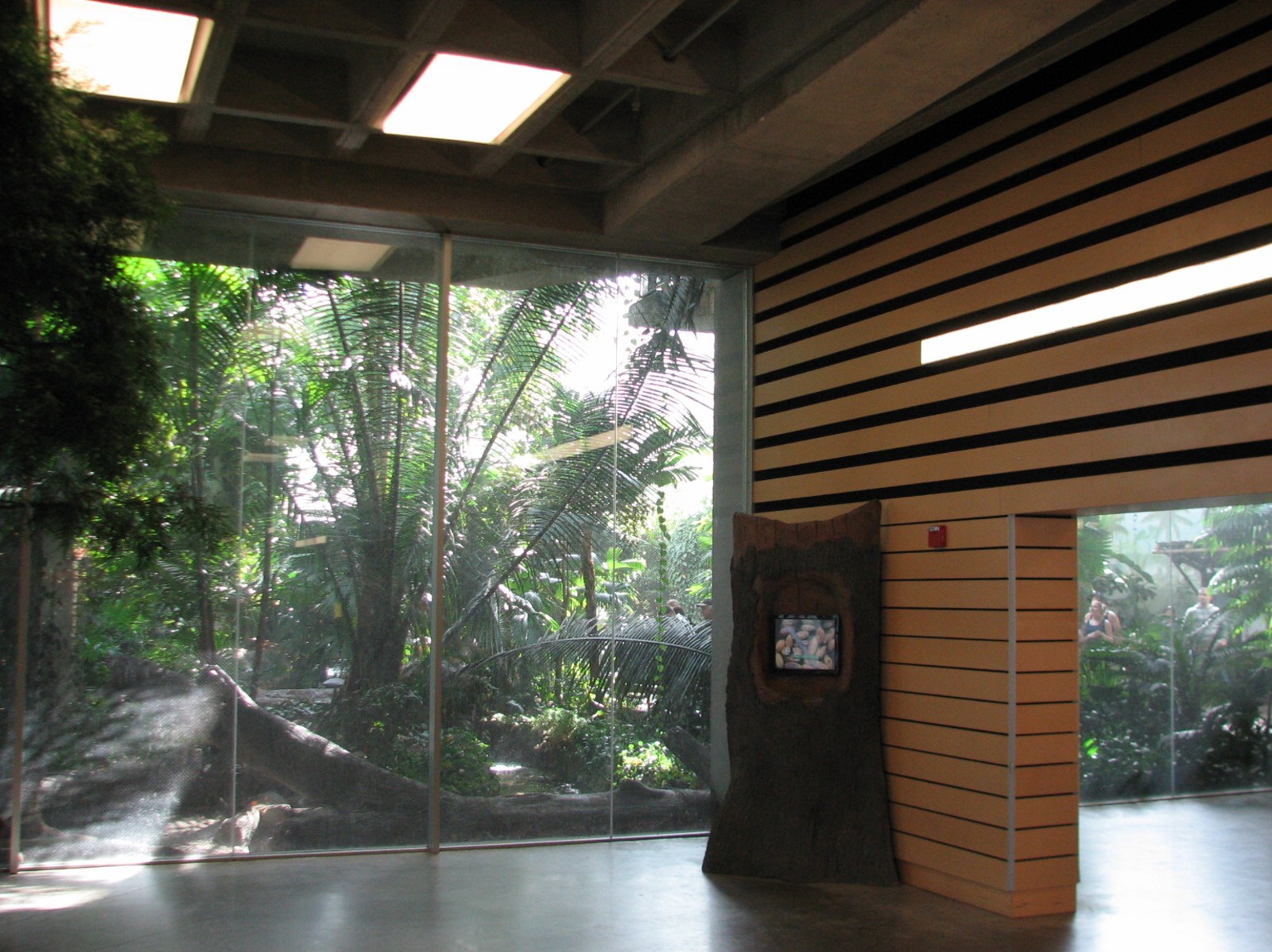 Tropical Encounters - View from Visitor Center Atrium