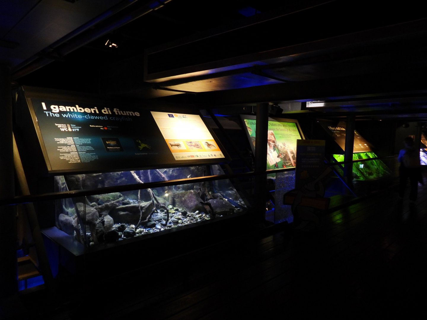 Tropical fish aquariums