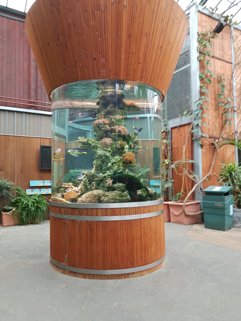 Tropical fish tank in Orang utan forest area