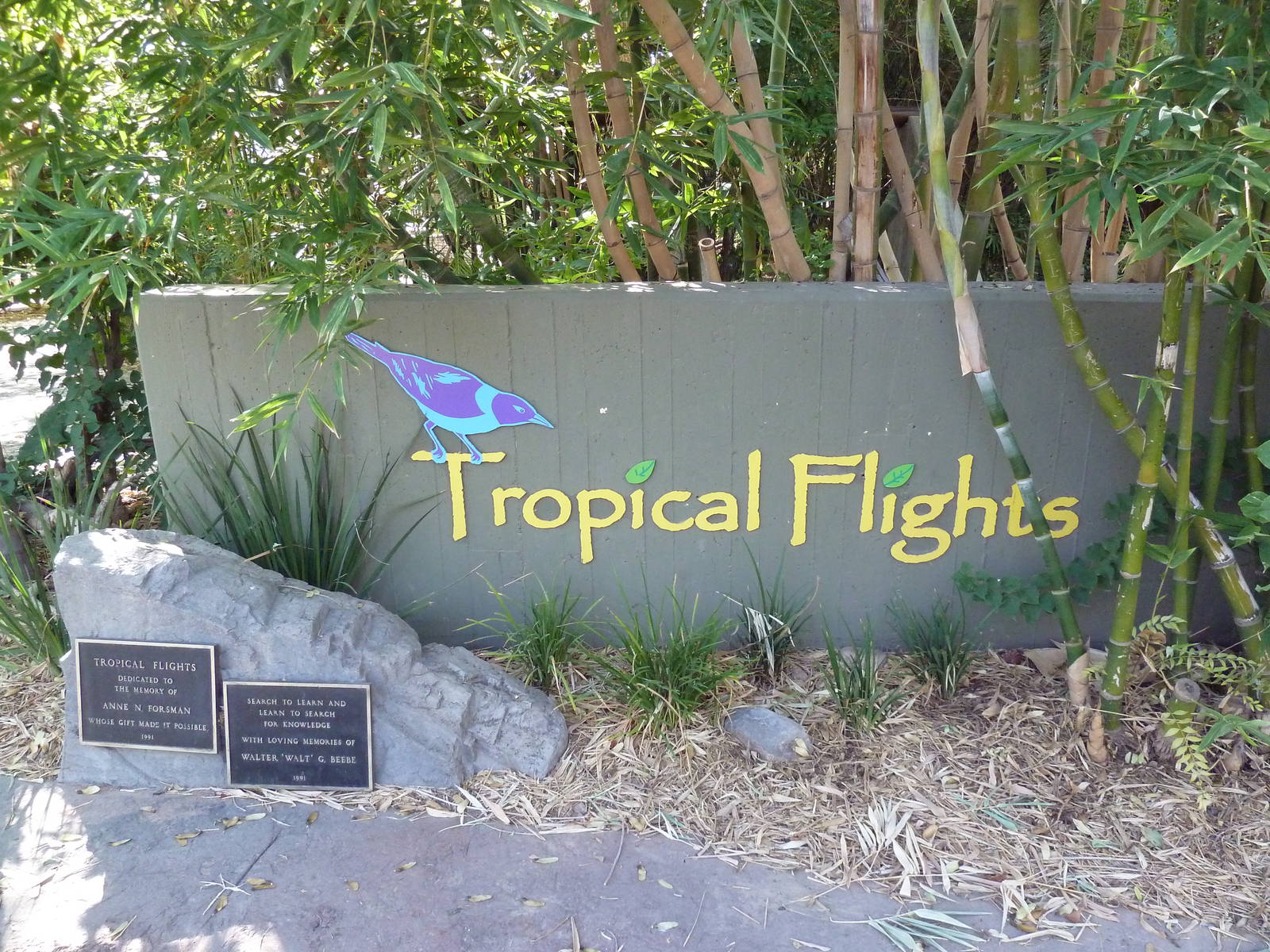 Tropical Flights - Entrance Sign