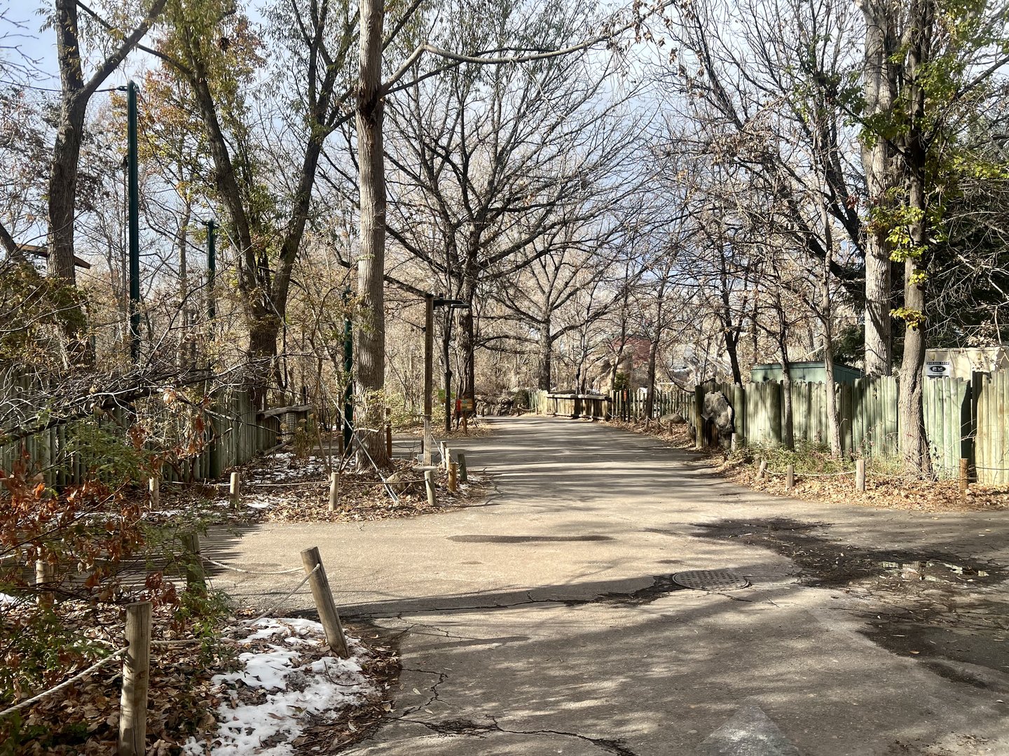 Tropical Forest Area