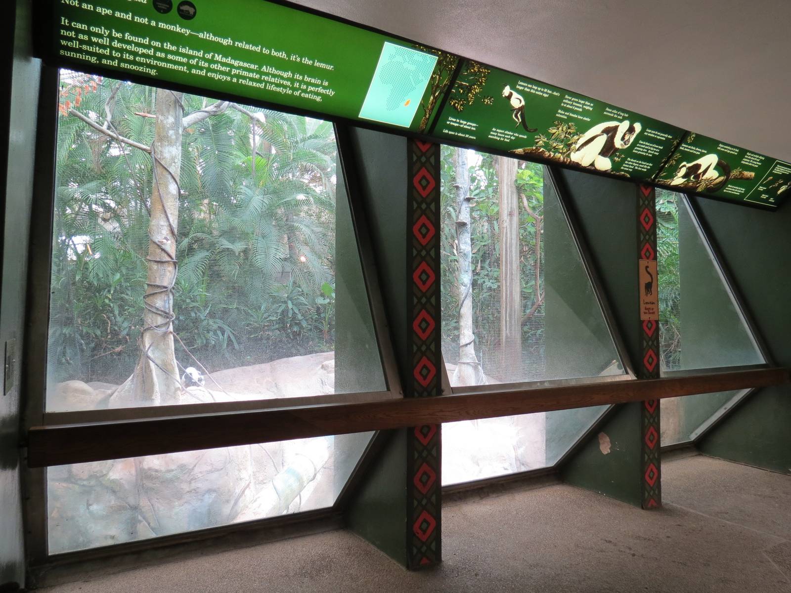 Tropical Forest - Black-and-white Ruffed Lemur Exhibit Viewing Area