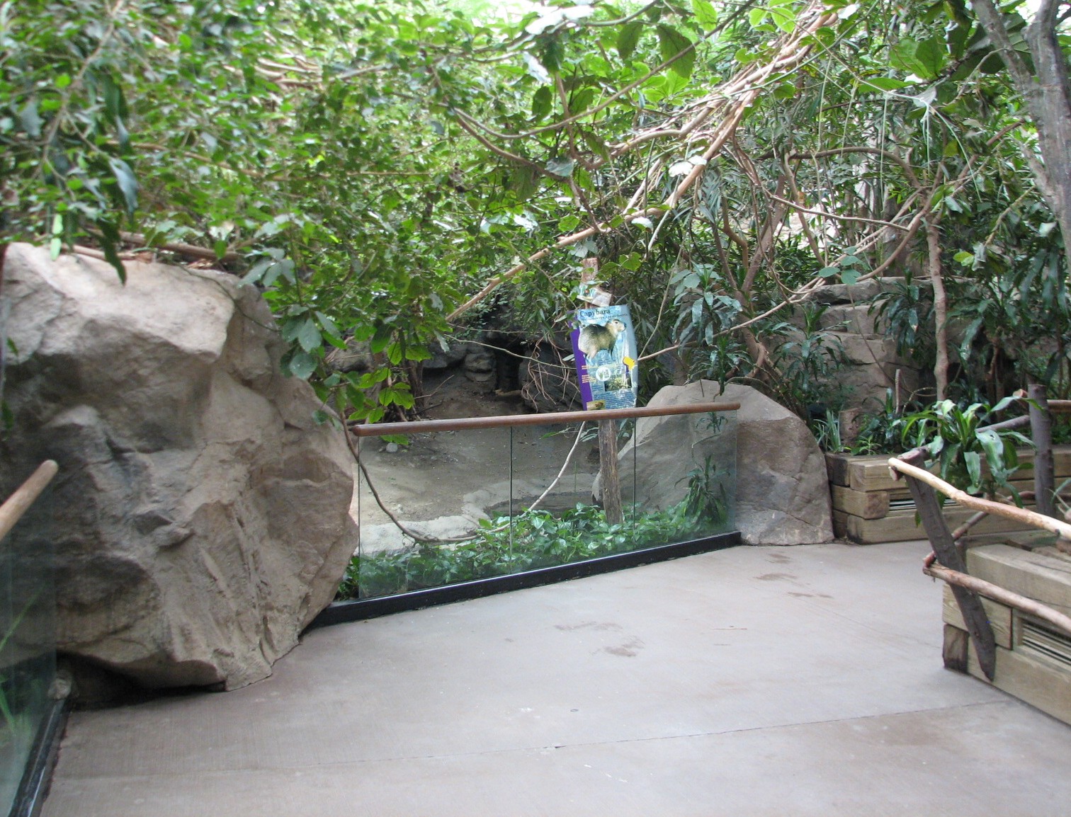 Tropical Forest Capybara Exhibit