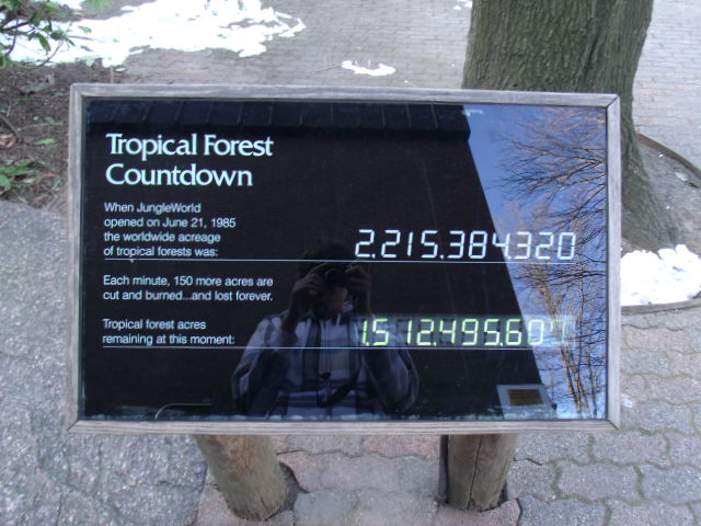 Tropical Forest Coutdown