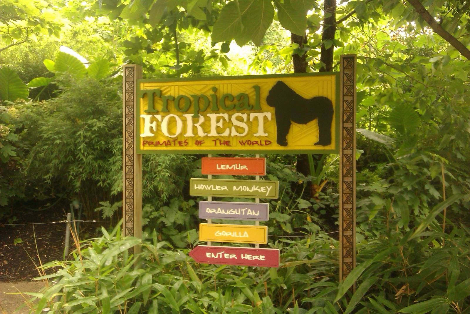Tropical Forest Entrace Sign