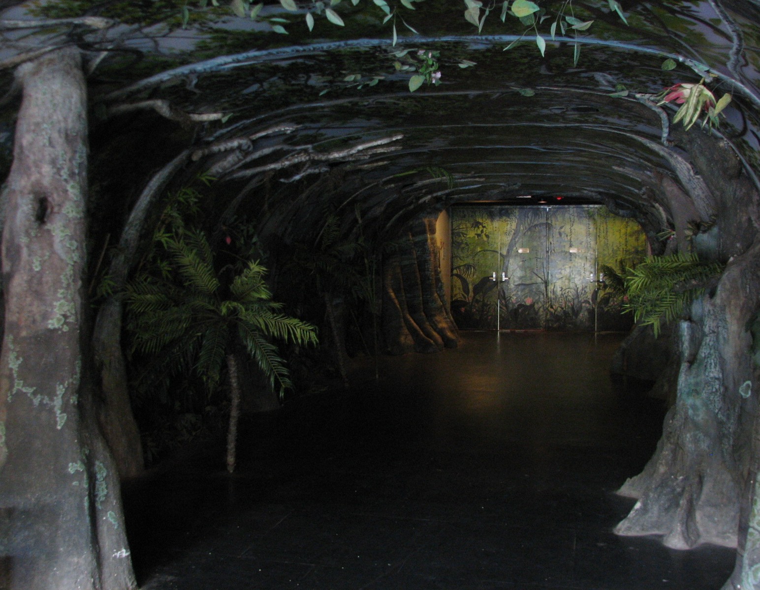 Tropical Forest Entry