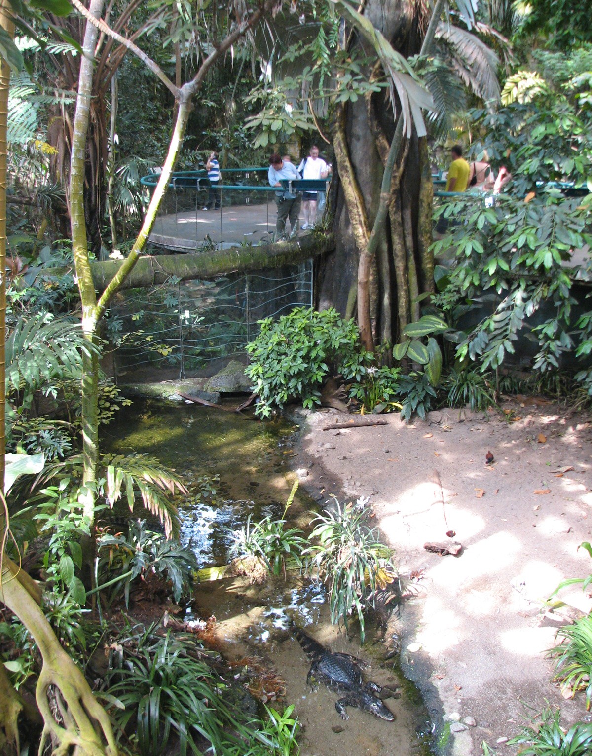 Tropical Forest Exhibit