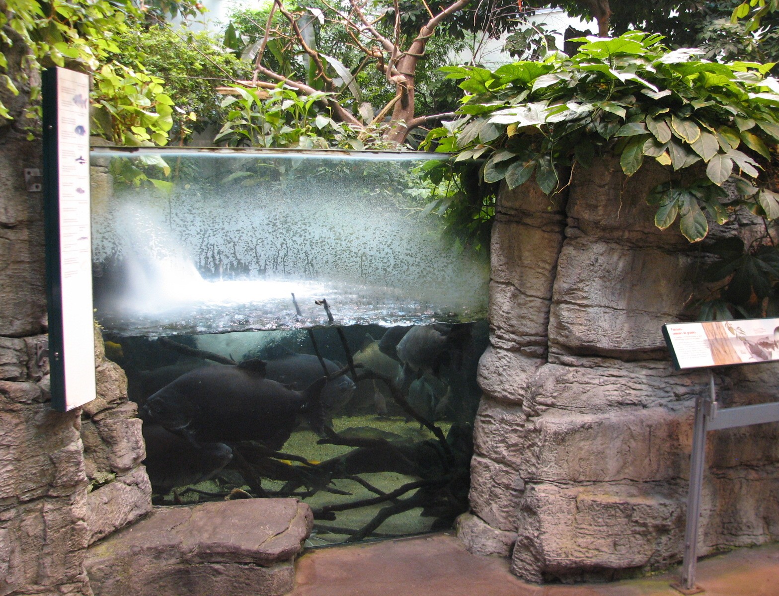 Tropical Forest Exhibit