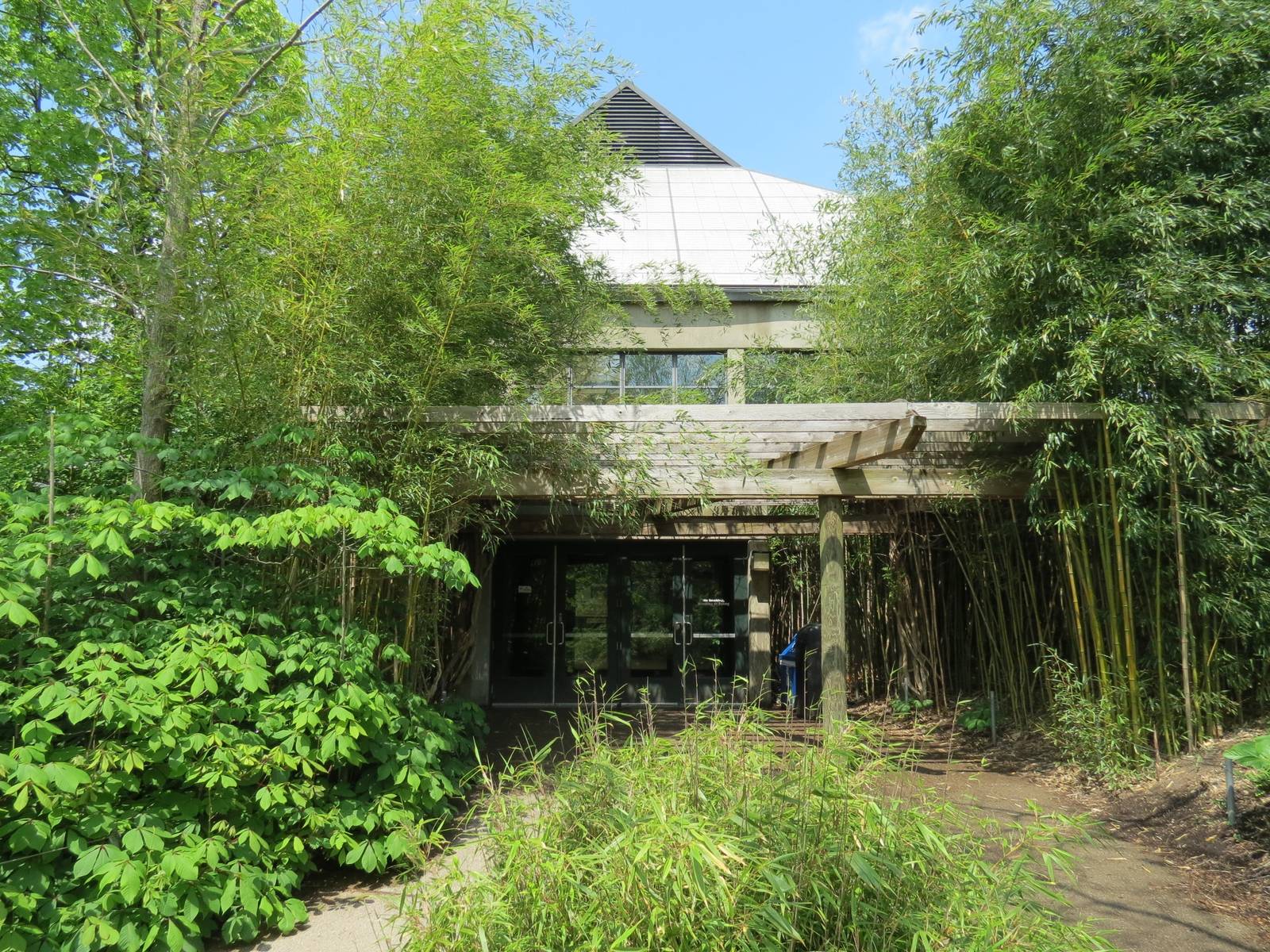 Tropical Forest - Exterior