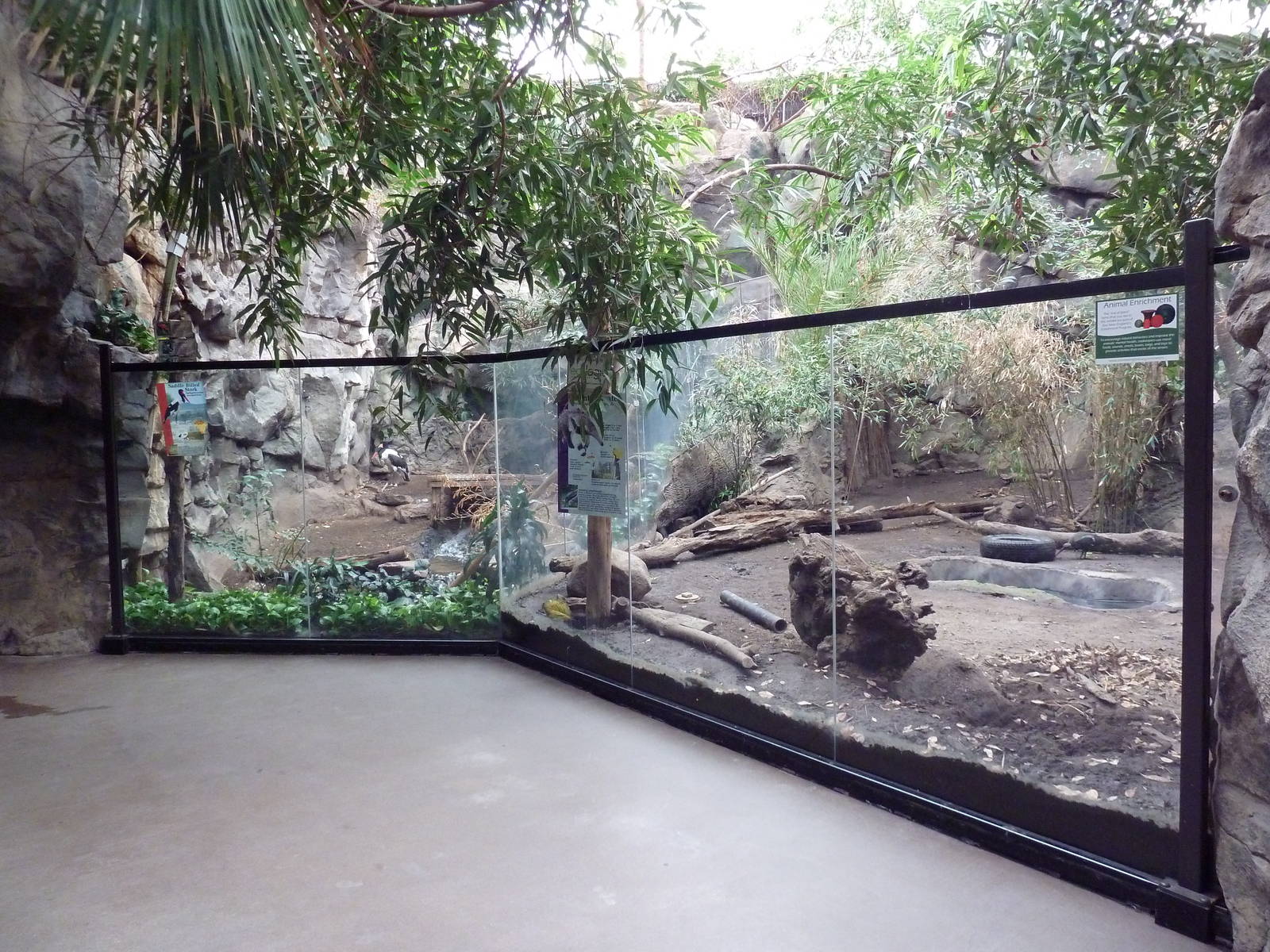 Tropical Forest - Giant Anteater + Saddle-Billed Stork Exhibits