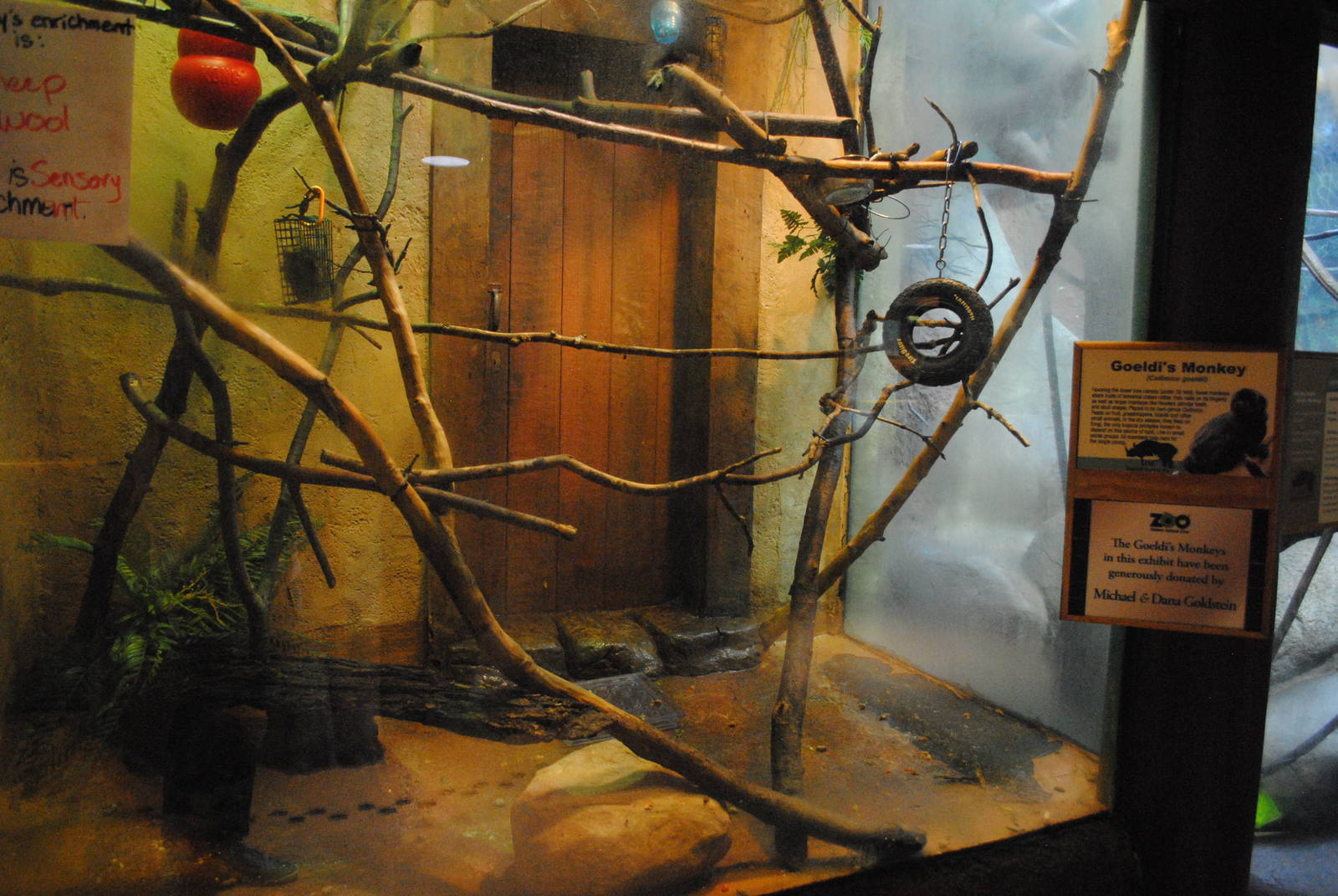 Tropical Forest - Goeldi's Monkeys exhibit