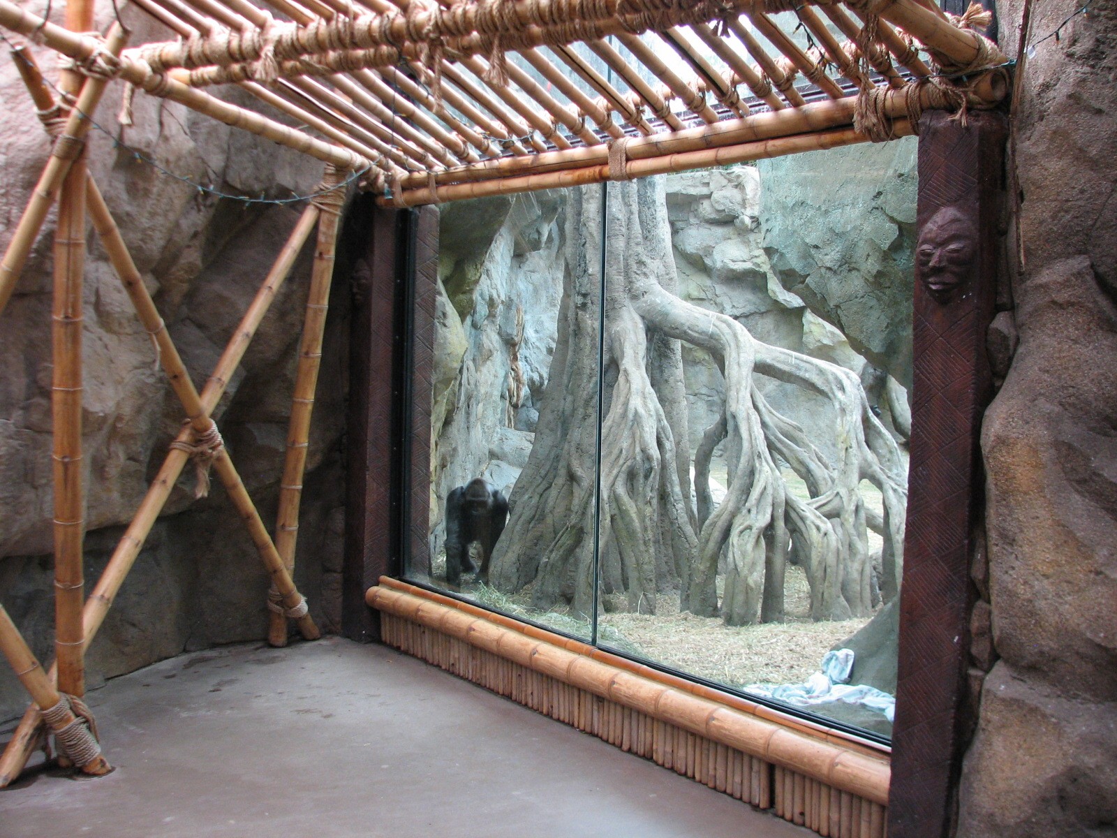 Tropical Forest Gorilla Exhibit