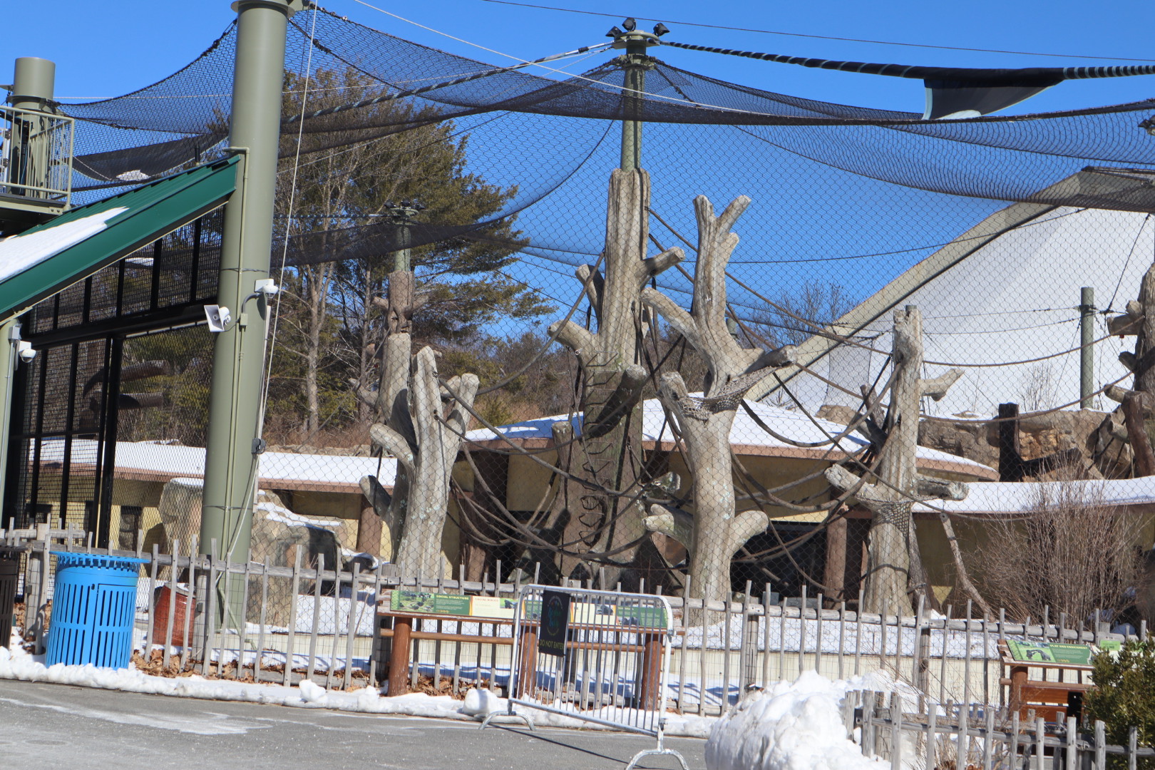 Tropical Forest - Gorilla Grove