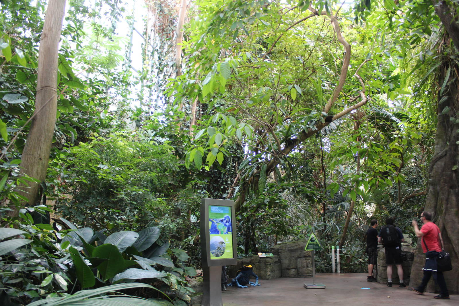 Tropical Forest Hall - June 2016