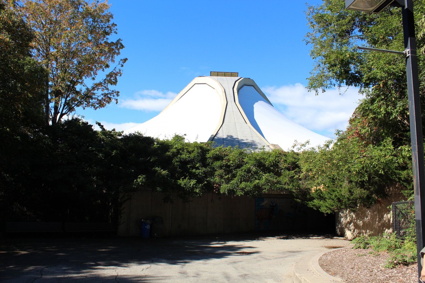 Tropical Forest House