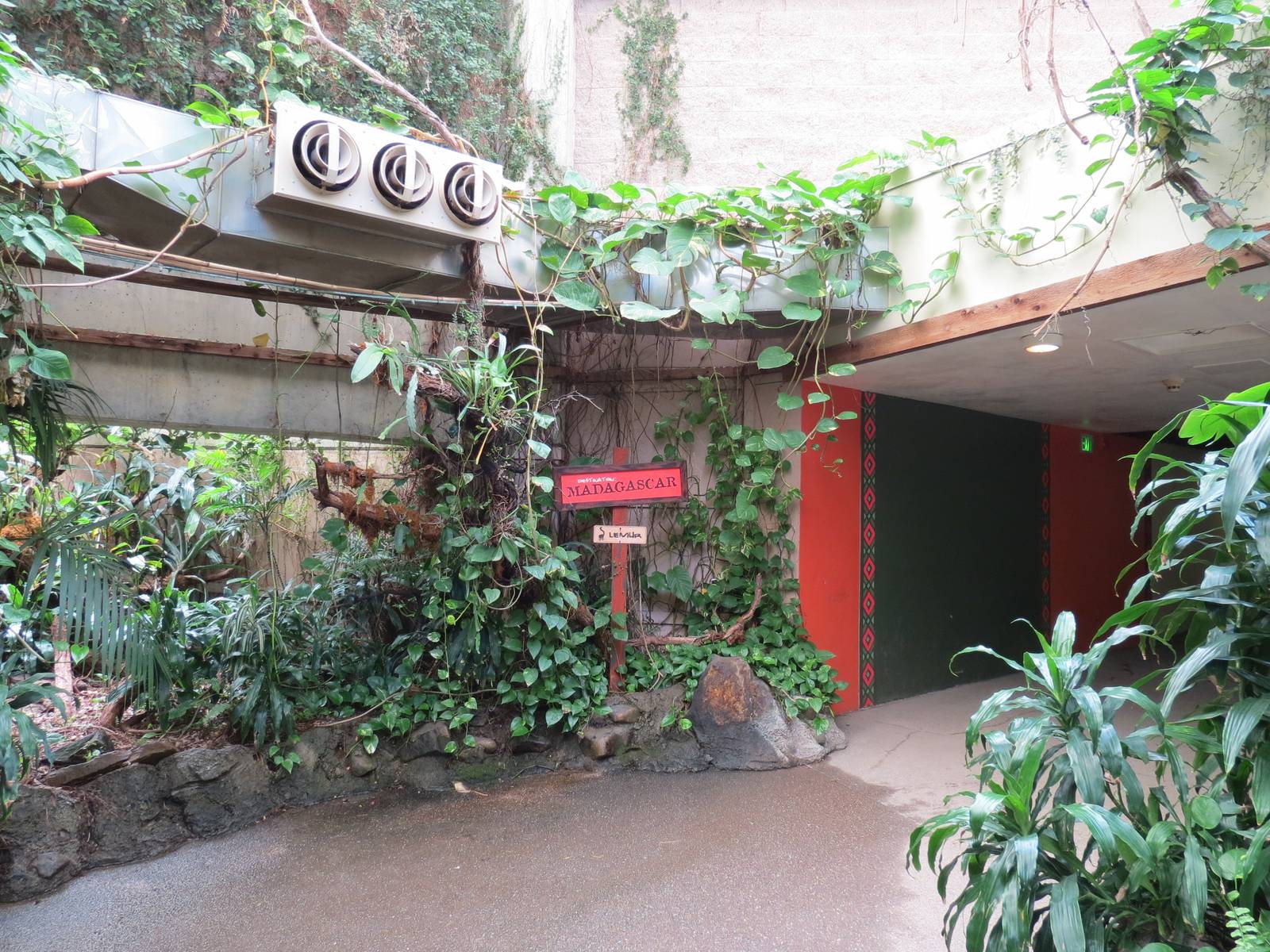 Tropical Forest - Interior