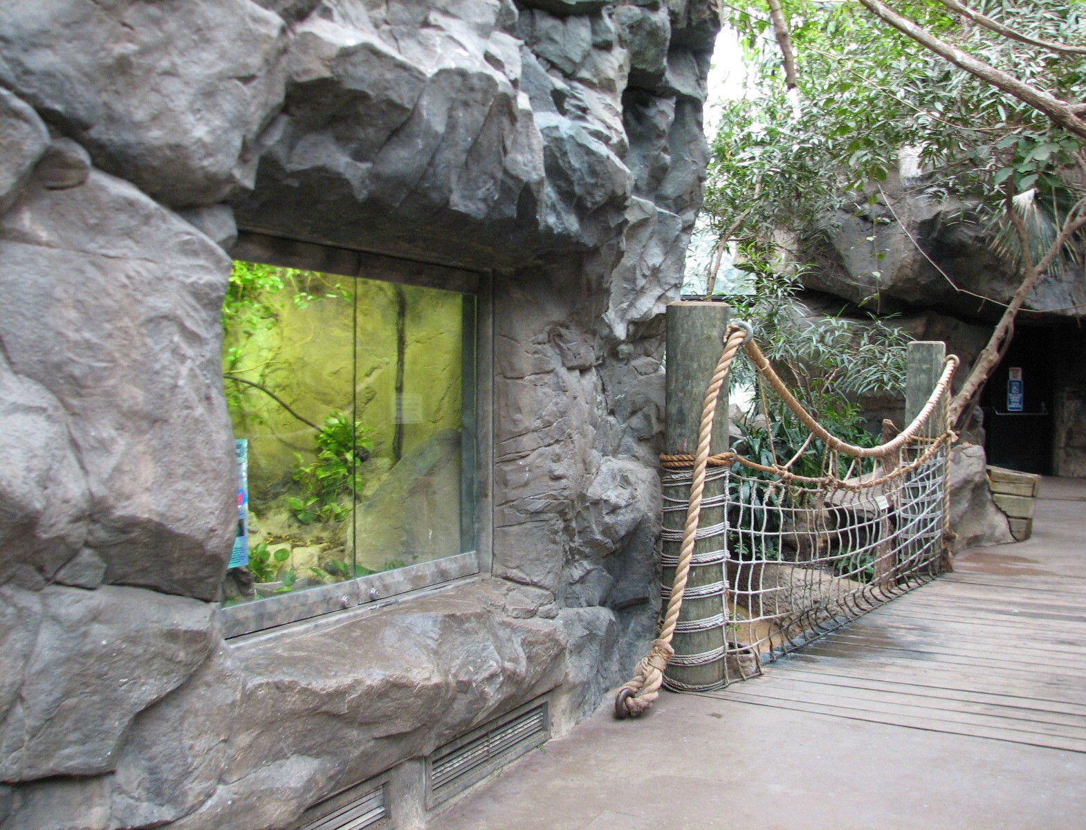 Tropical Forest Interior