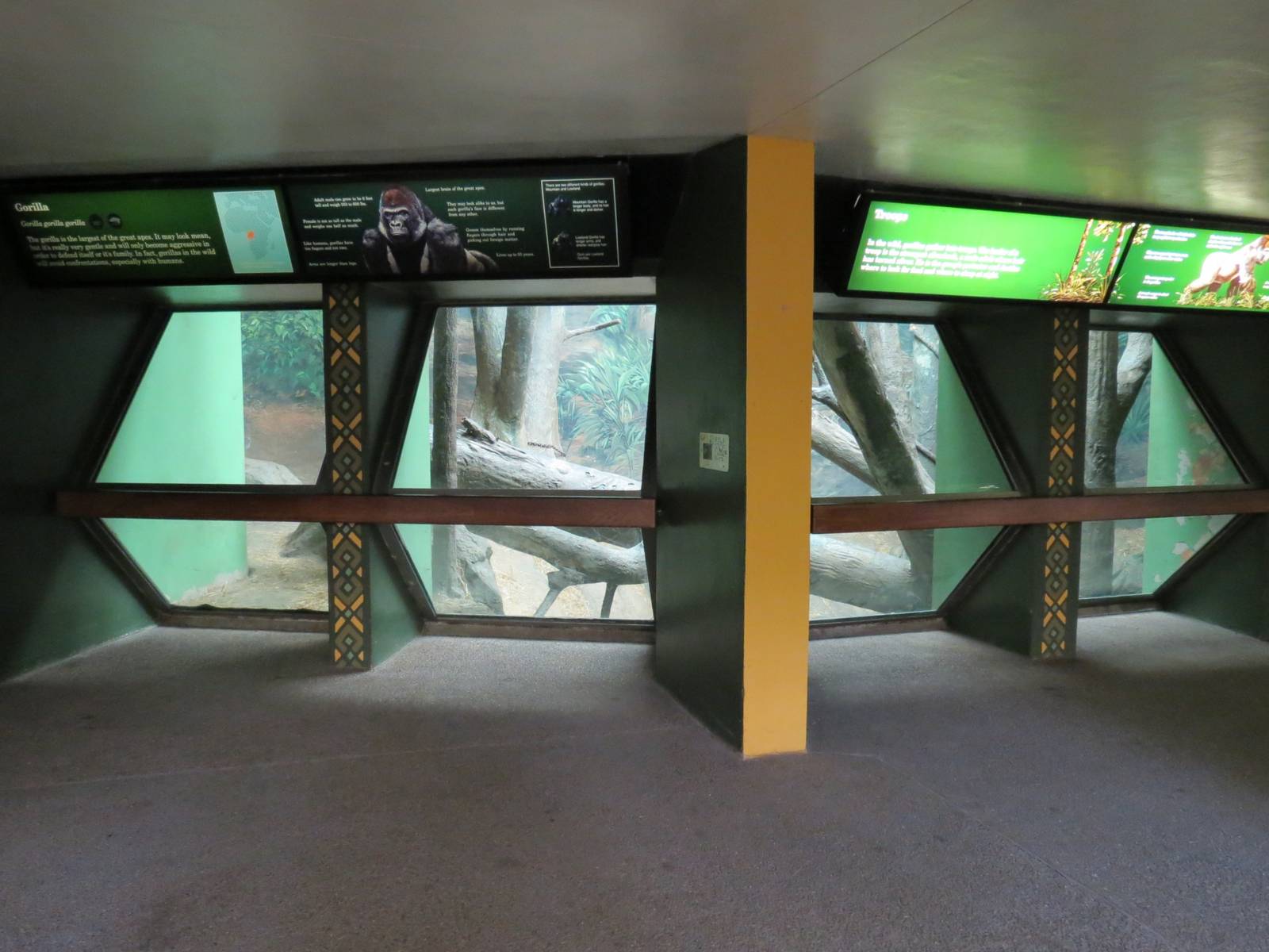 Tropical Forest - Lowland Gorilla Indoor Exhibit Viewing Area