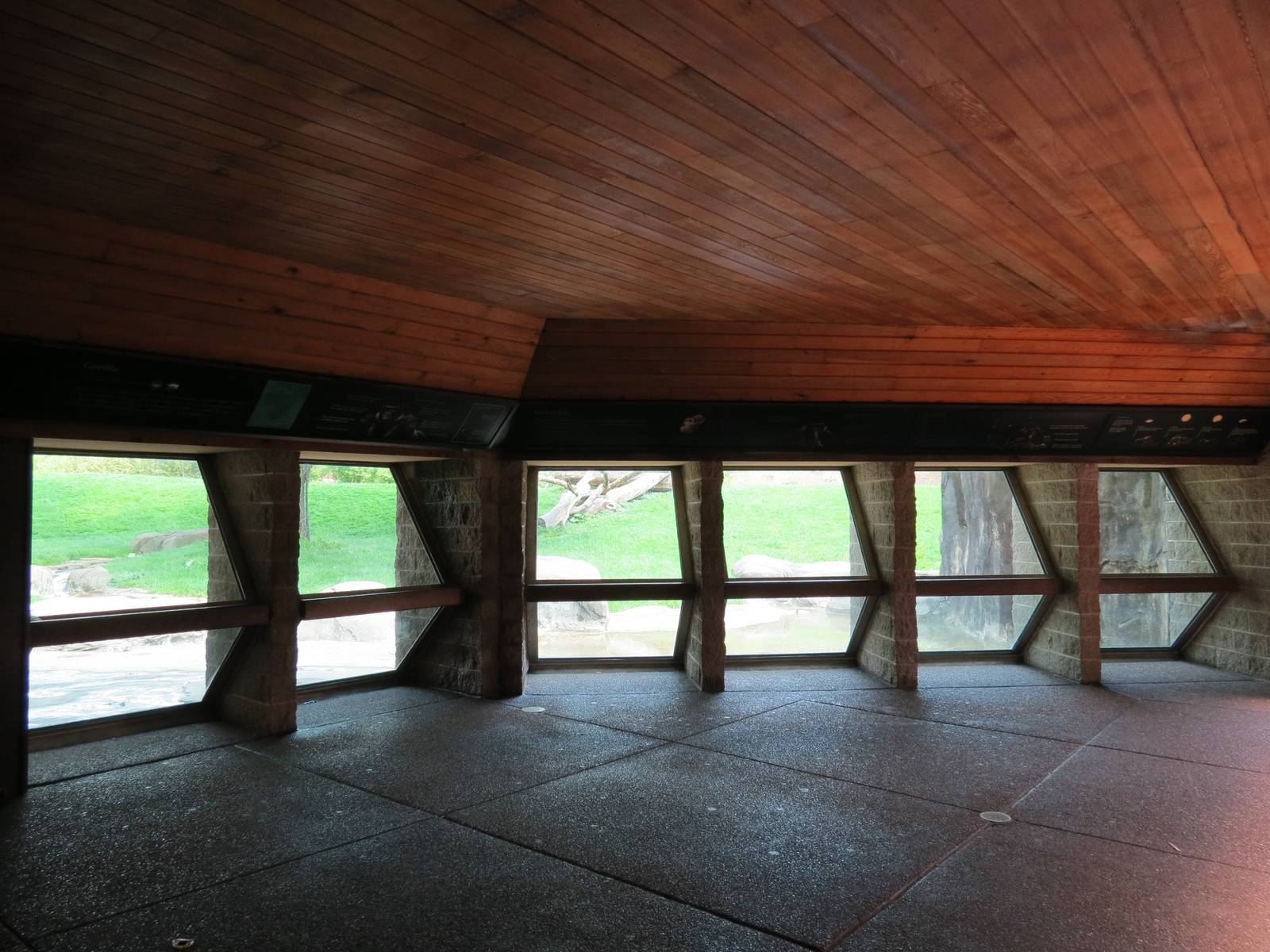 Tropical Forest - Lowland Gorilla Outdoor Exhibit Viewing Area