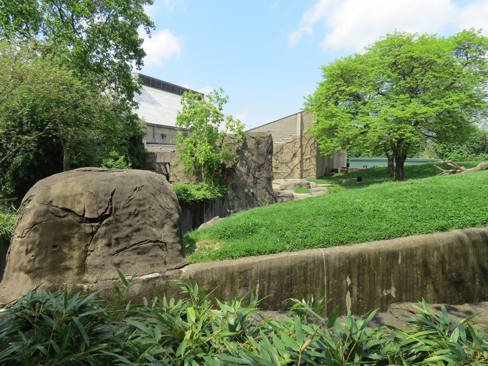 Tropical Forest - Lowland Gorilla Outdoor Exhibit
