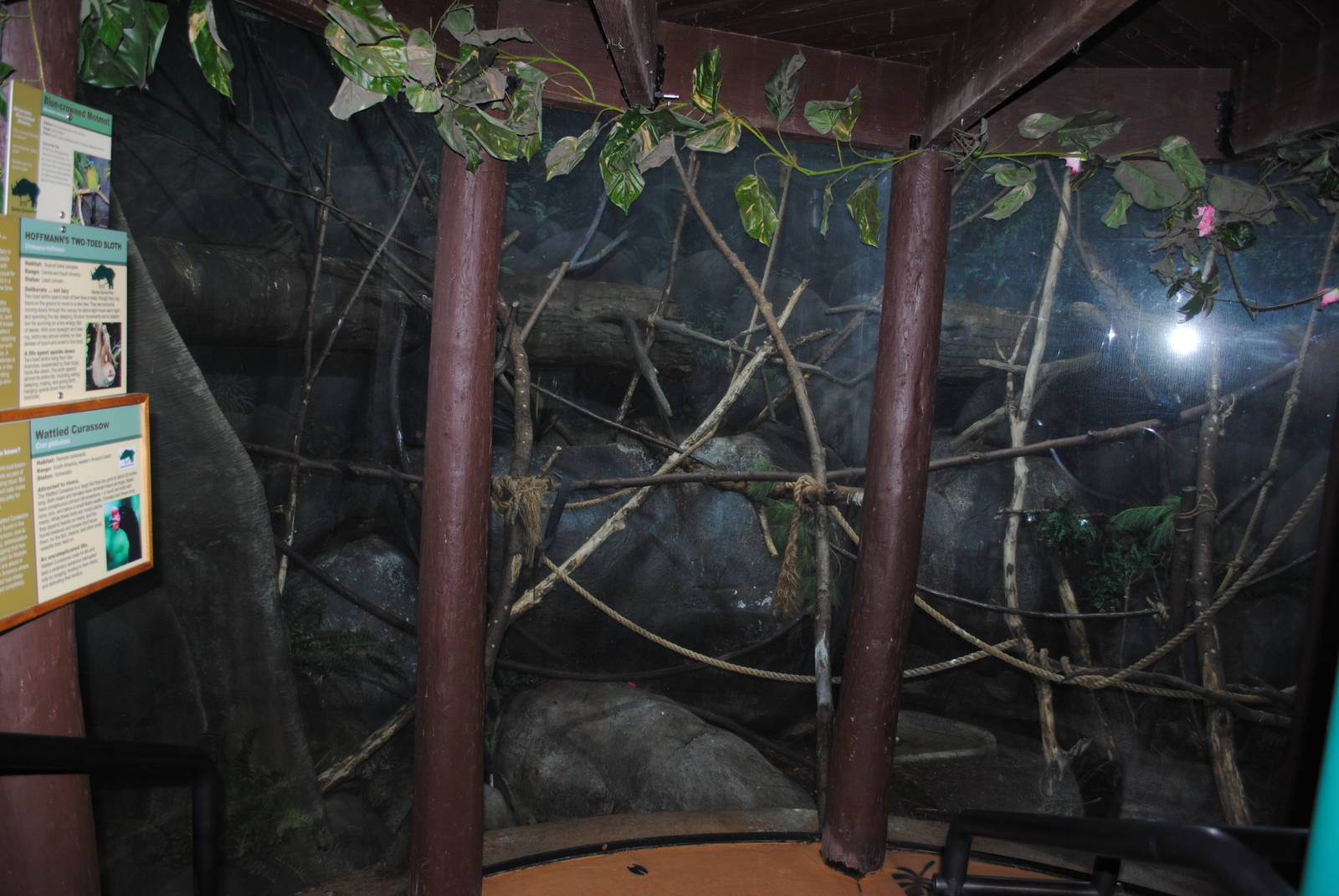 Tropical Forest - Mixed Species exhibit