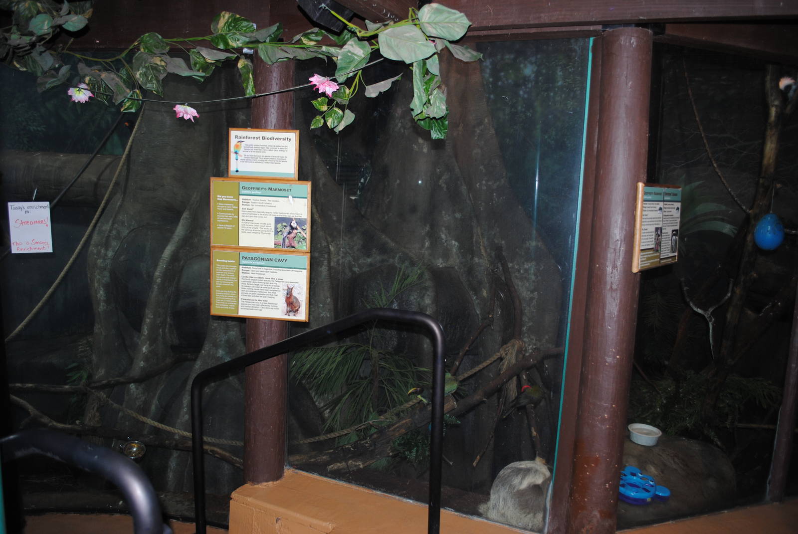 Tropical Forest - Mixed Species exhibit