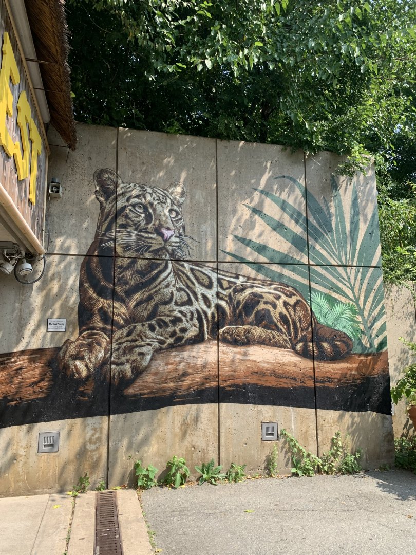 Tropical Forest mural