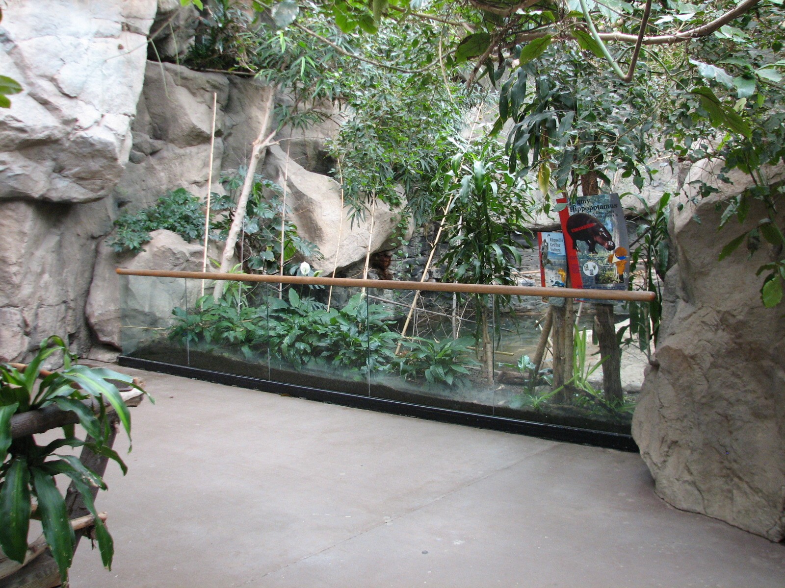 Tropical Forest Pygmy Hippopotamus Exhibit