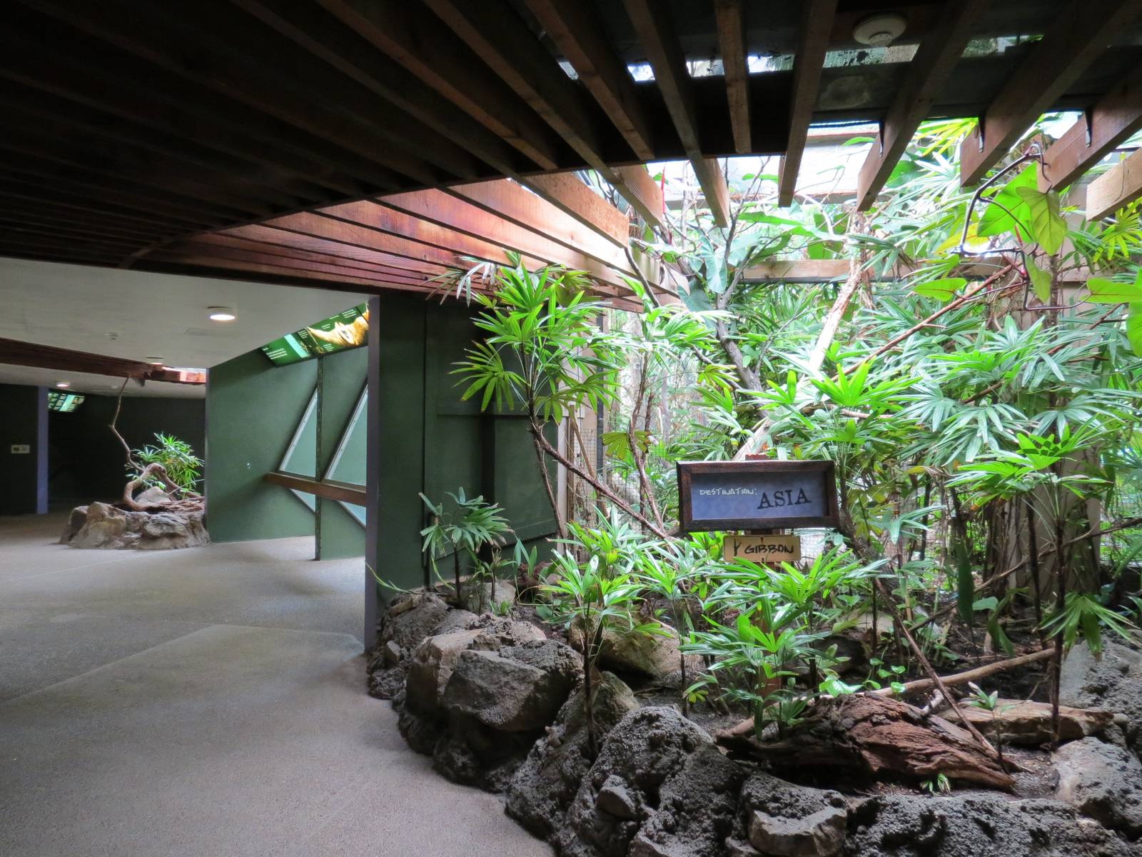 Tropical Forest - Visitor Path