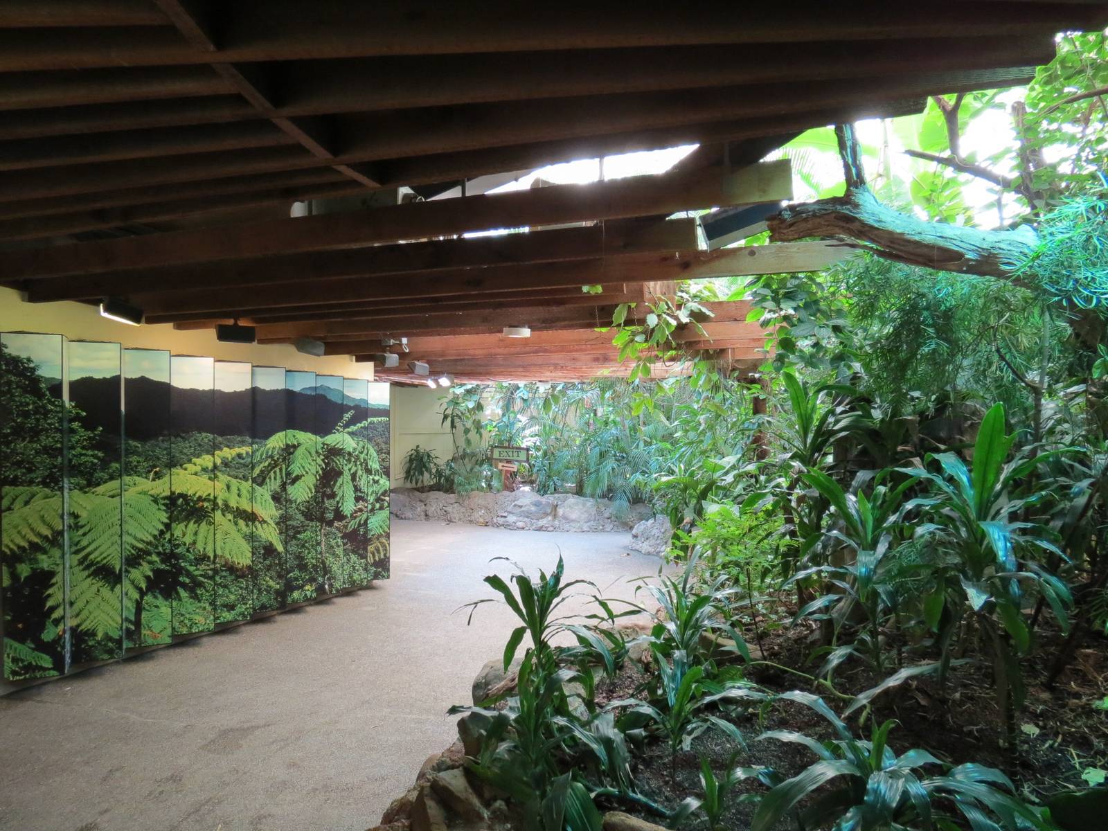 Tropical Forest - Visitor Path