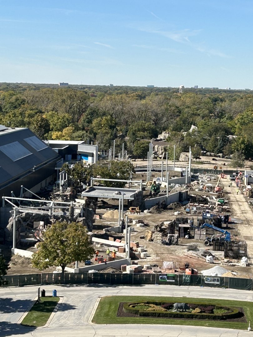 Tropical Forests construction