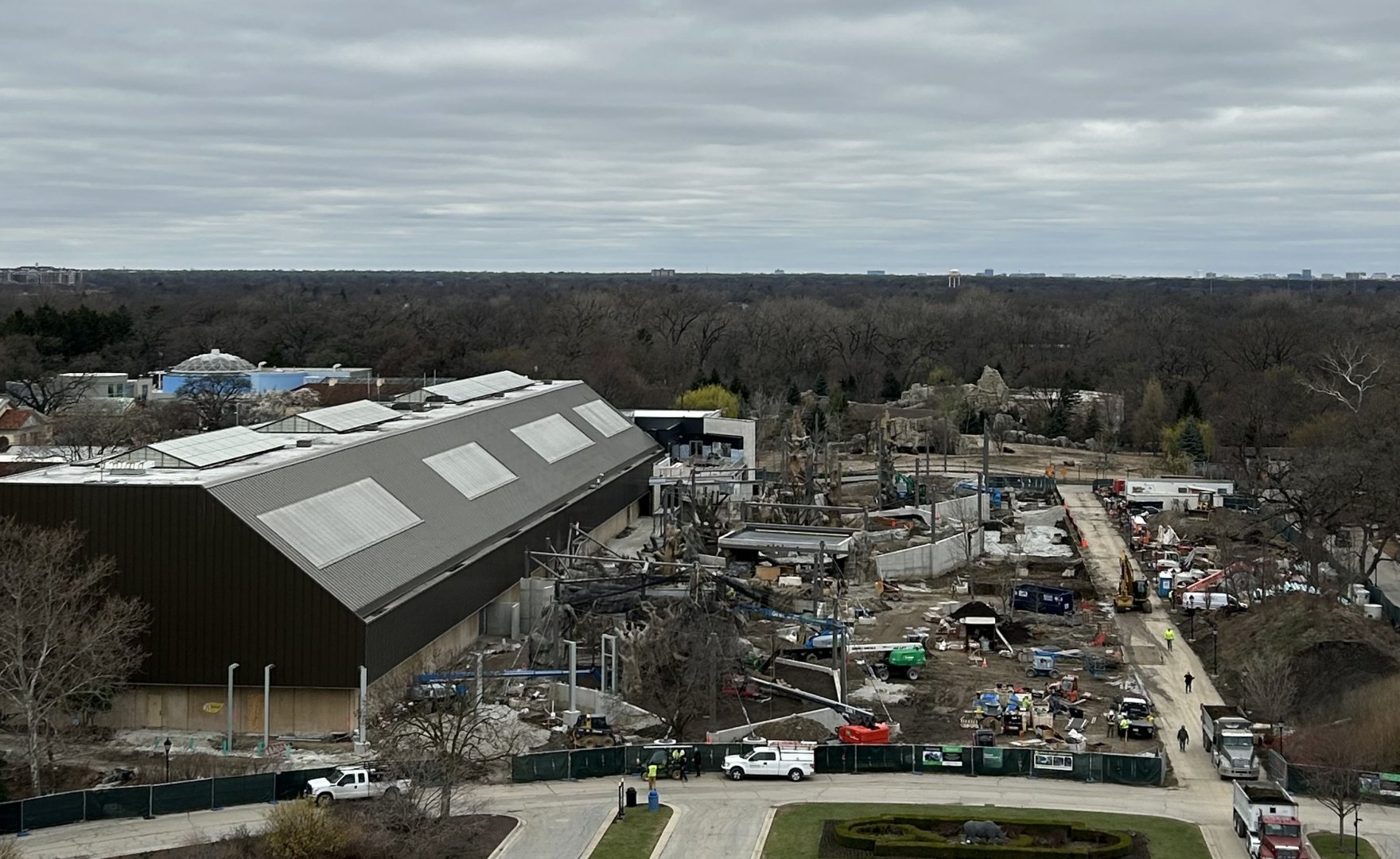 Tropical Forests Construction