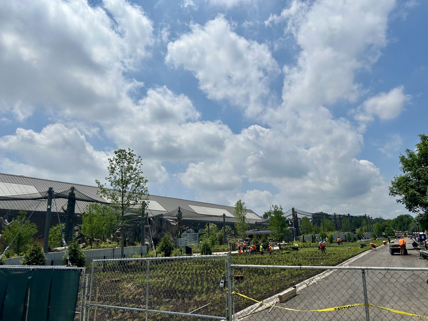 Tropical Forests- construction