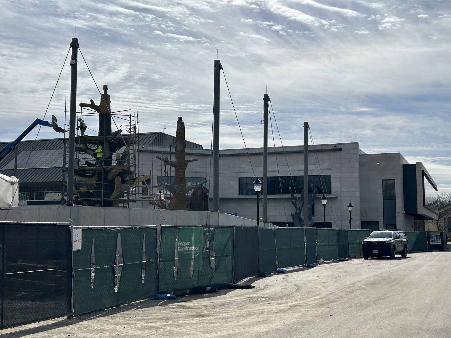 Tropical Forests- Gorilla construction