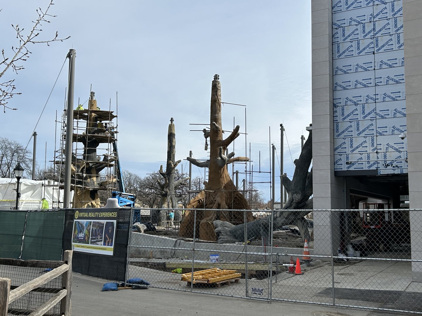 Tropical Forests- Gorilla construction