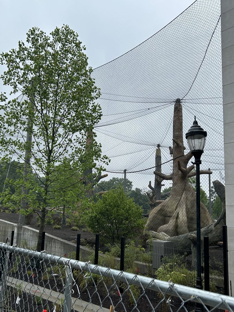 Tropical Forests- Gorilla Construction