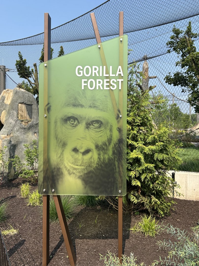 Tropical Forests- Gorilla Forest sign