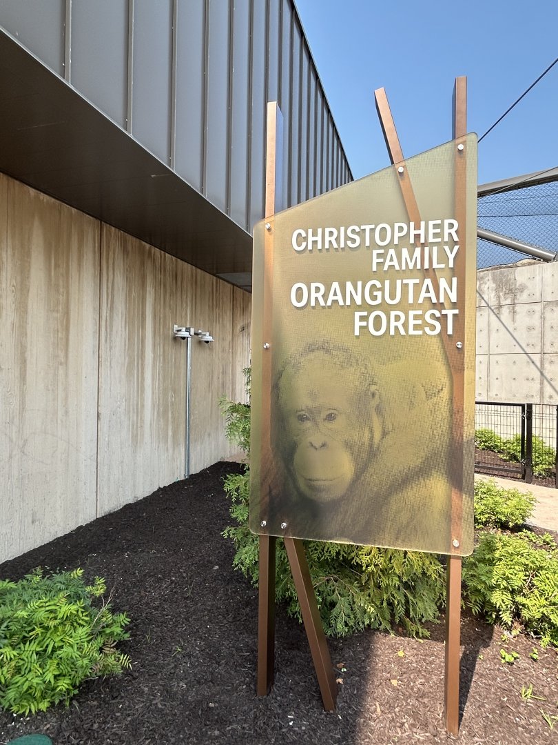 Tropical Forests- Orangutan Forest sign