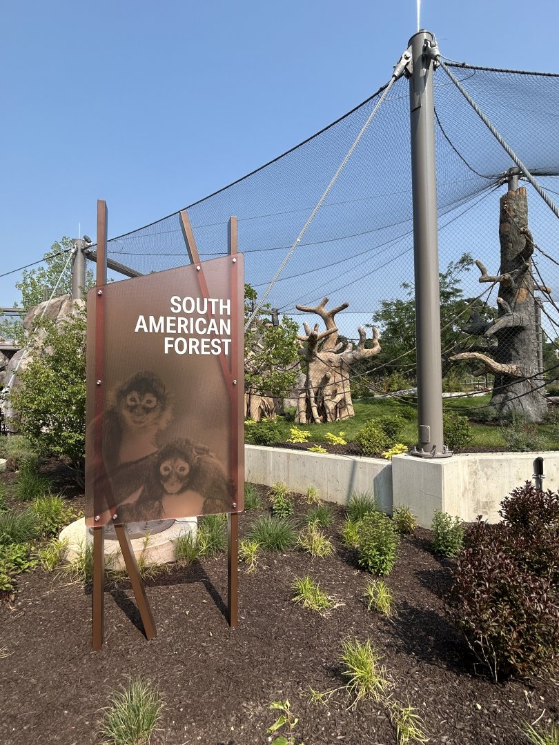 Tropical Forests- South American Forest sign
