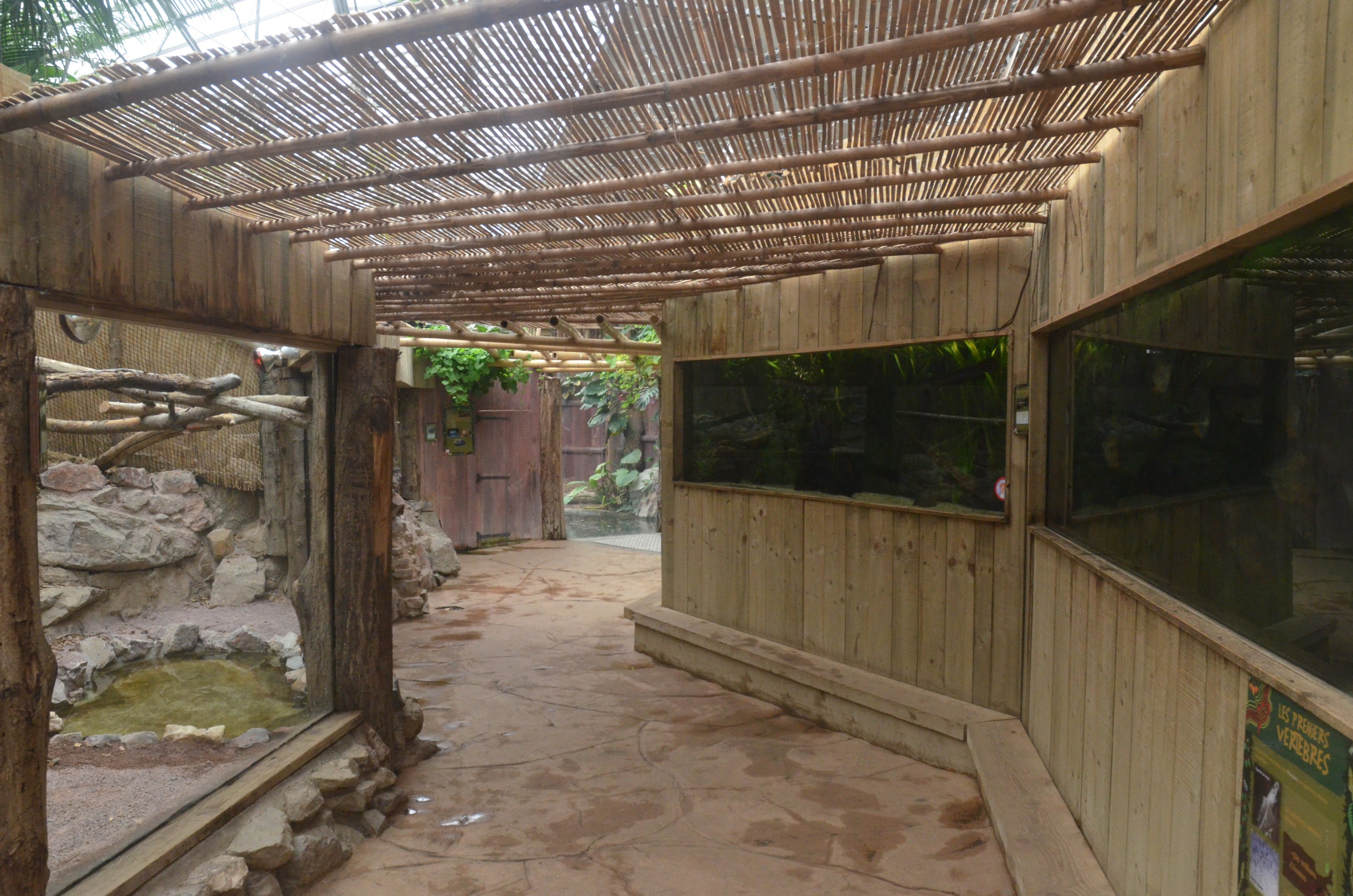 Tropical Greenhouse at CERZA, 10/06/18